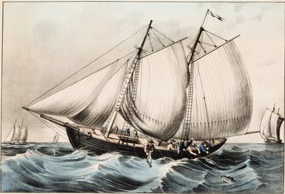 Cod Fishing off Newfoundland (pub. 1872) by American School